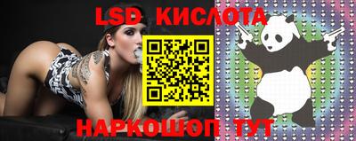кокаин Новодвинск