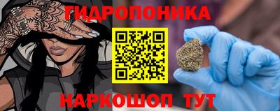 шишки Новокубанск