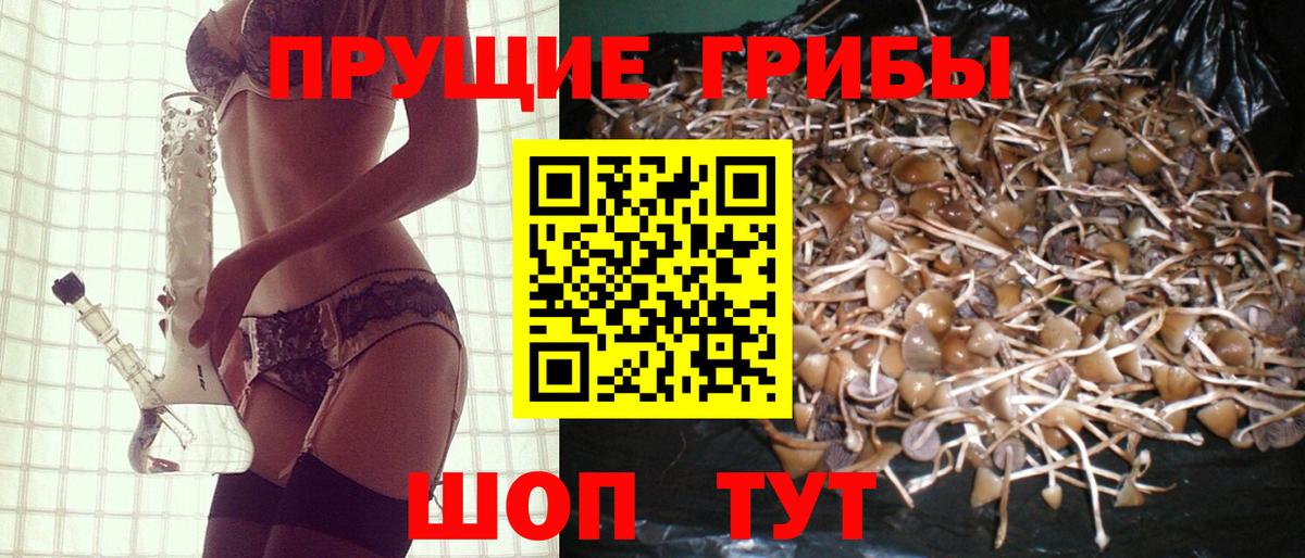 Спасск-Дальний  купить   Вход с VPN  Псилоцибиновые грибы GOLDEN TEACHER 